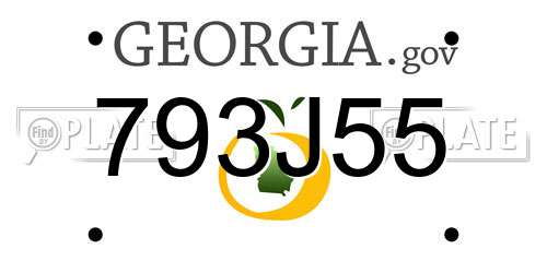 793J55 Georgia License Plate