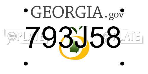 793J58 Georgia License Plate