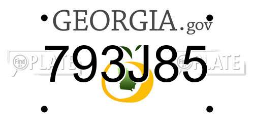 793J85 Georgia License Plate