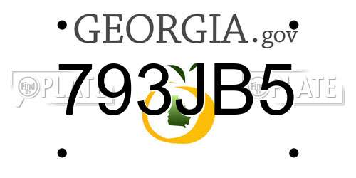 793JB5 Georgia License Plate