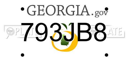 793JB8 Georgia License Plate