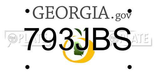 793JBS Georgia License Plate