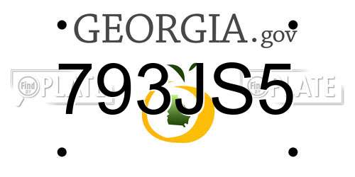 793JS5 Georgia License Plate