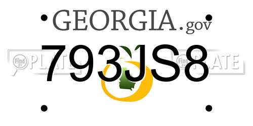 793JS8 Georgia License Plate