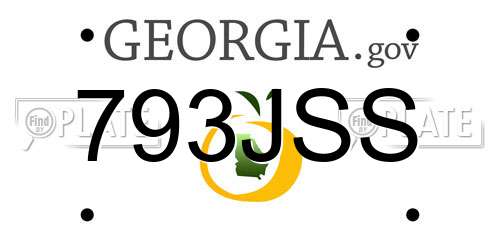 793JSS Georgia License Plate