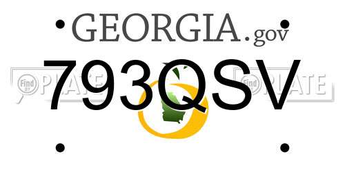793QSV Georgia License Plate