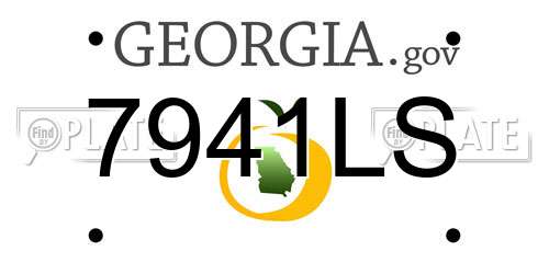 7941LS Georgia License Plate