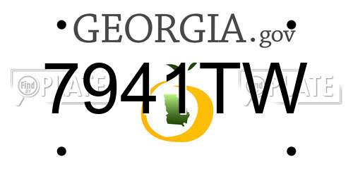7941TW Georgia License Plate