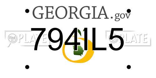 794IL5 Georgia License Plate