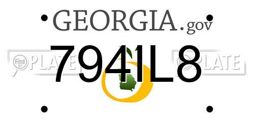794IL8 Georgia License Plate