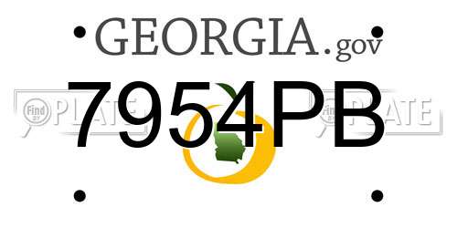 7954PB Georgia License Plate