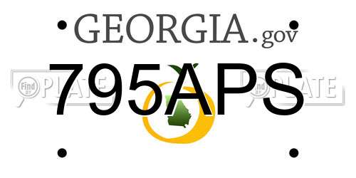795APS Georgia License Plate