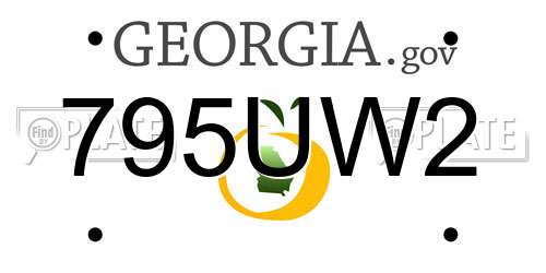 795UW2 Georgia License Plate