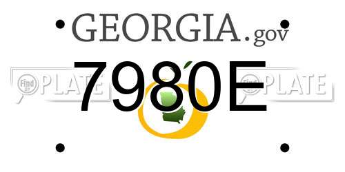7980E Georgia License Plate