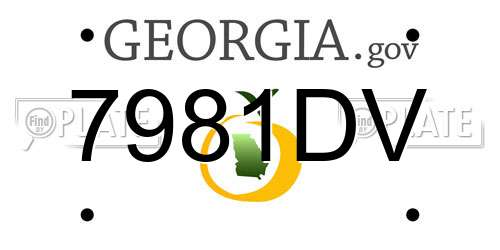 7981DV Georgia License Plate
