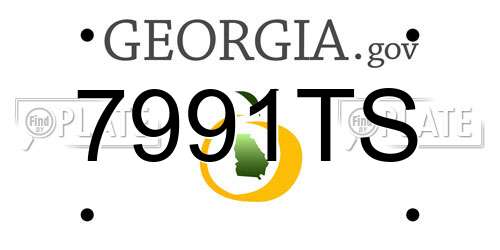 7991TS Georgia License Plate