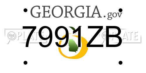 7991ZB Georgia License Plate