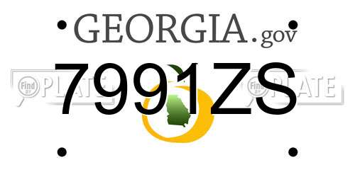 7991ZS Georgia License Plate