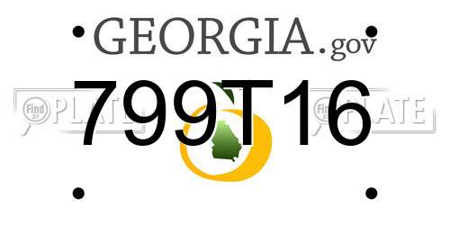 799T16 Georgia License Plate