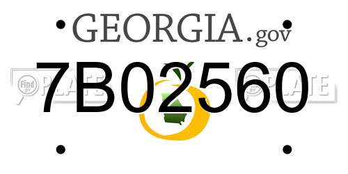 7B02560 Georgia License Plate
