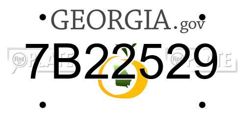 7B22529 Georgia License Plate