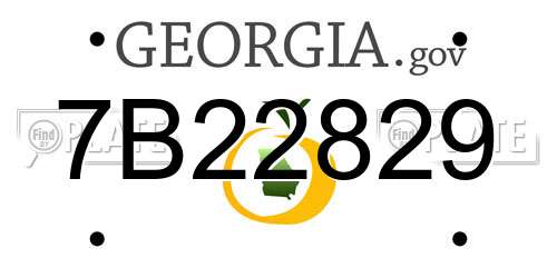 7B22829 Georgia License Plate