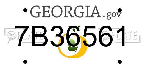 7B36561 Georgia License Plate