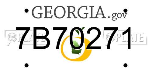 7B70271 Georgia License Plate