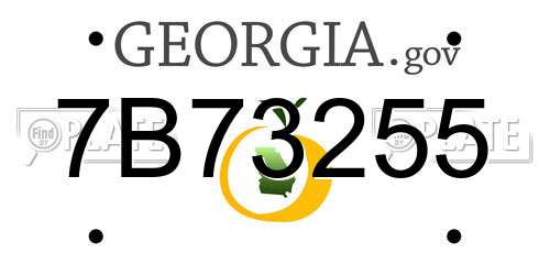 7B73255 Georgia License Plate