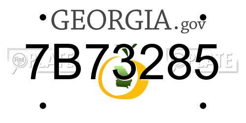 7B73285 Georgia License Plate