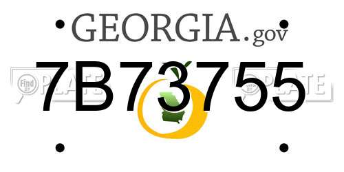 7B73755 Georgia License Plate