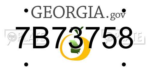 7B73758 Georgia License Plate