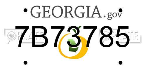 7B73785 Georgia License Plate