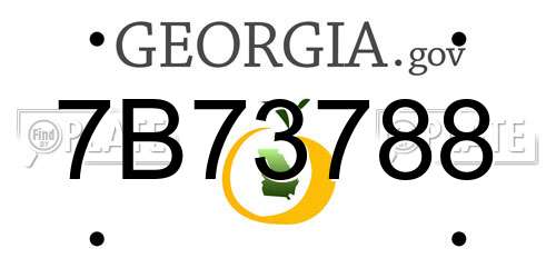 7B73788 Georgia License Plate