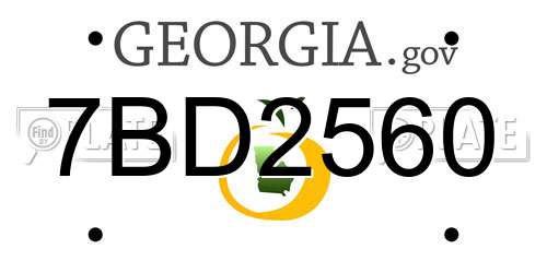 7BD2560 Georgia License Plate