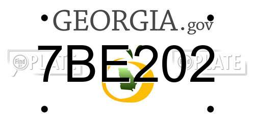 7BE202 Georgia License Plate