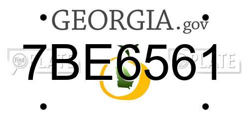 7BE6561 Georgia License Plate