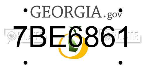 7BE6861 Georgia License Plate