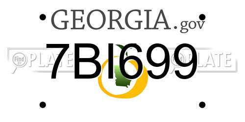 7BI699 Georgia License Plate