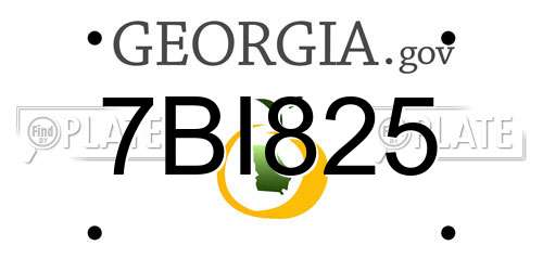 7BI825 Georgia License Plate