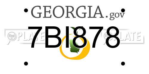 7BI878 Georgia License Plate