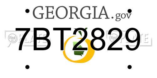 7BT2829 Georgia License Plate