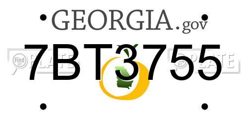 7BT3755 Georgia License Plate