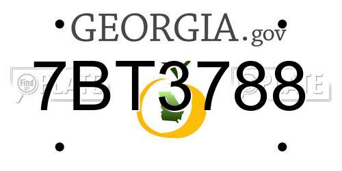 7BT3788 Georgia License Plate