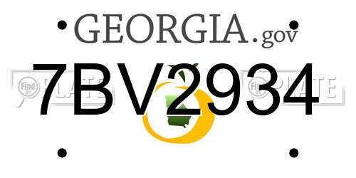 7BV2934 Georgia License Plate