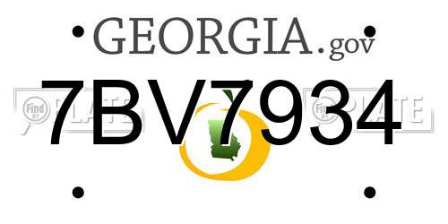 7BV7934 Georgia License Plate