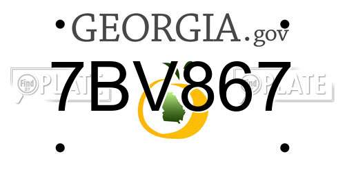7BV867 Georgia License Plate