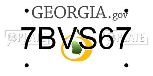 7BVS67 Georgia License Plate