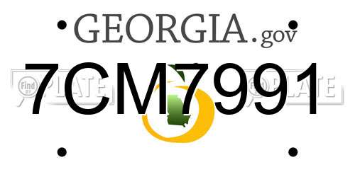 7CM7991 Georgia License Plate