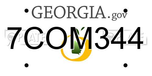 7COM344 Georgia License Plate